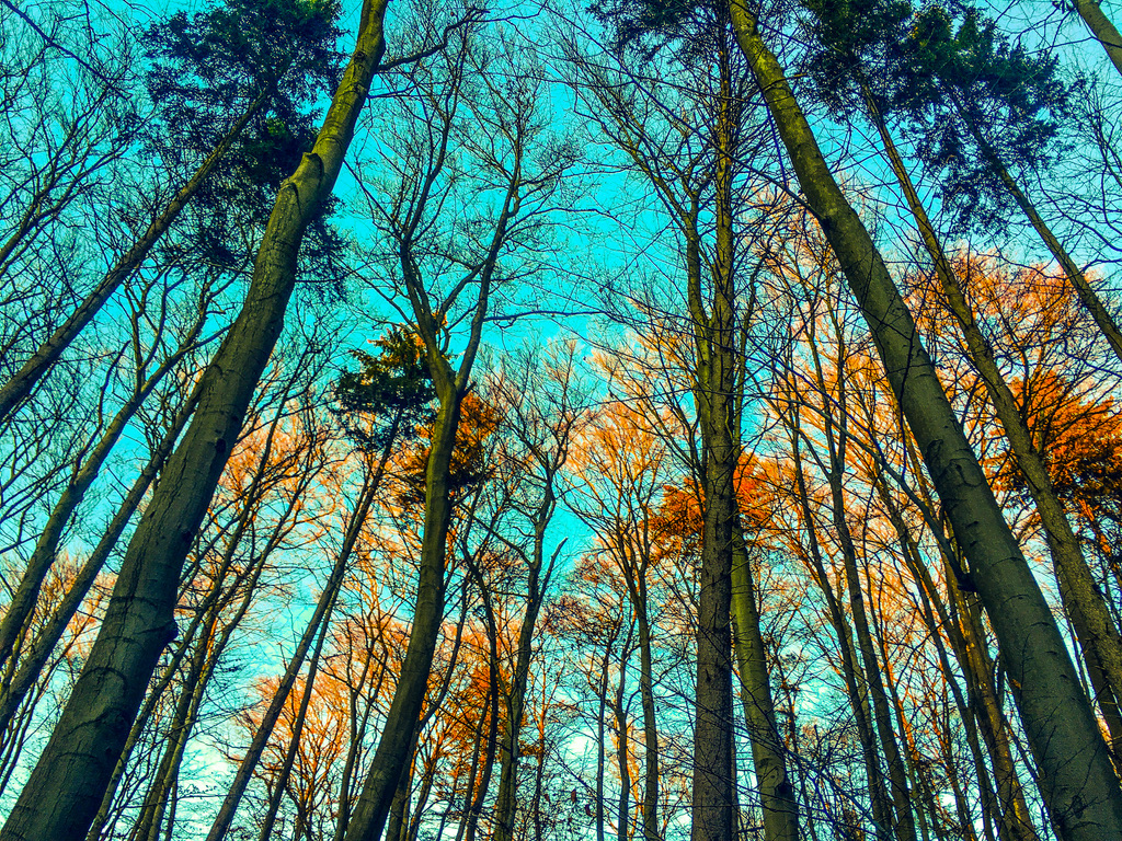 Wohnmobilstellplatz: Camping Bad Stuer