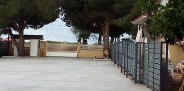 Reisemobilstellplatz - Hunde erlaubt: Hunde teilweise - Griechenland - CAMPER STOP PREVEZA WEST GRIEHENLAND