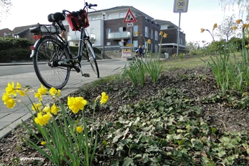 Wohnmobilstellplatz: Foto: Gemeinde Salzbergen - Stellplatz Ortskern, Dr. Josef-Stockmann-Straße