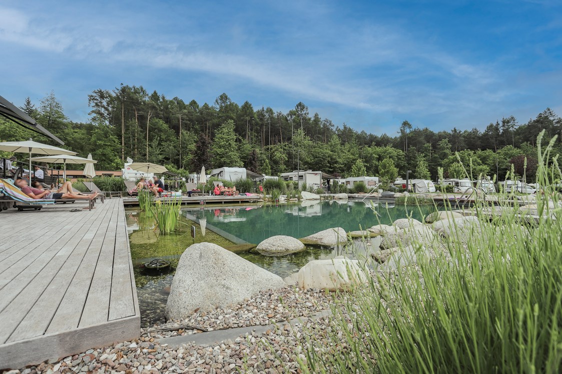 Wohnmobilstellplatz: Naturbadeteil - Stellplatz Eppan Camping Montiggl