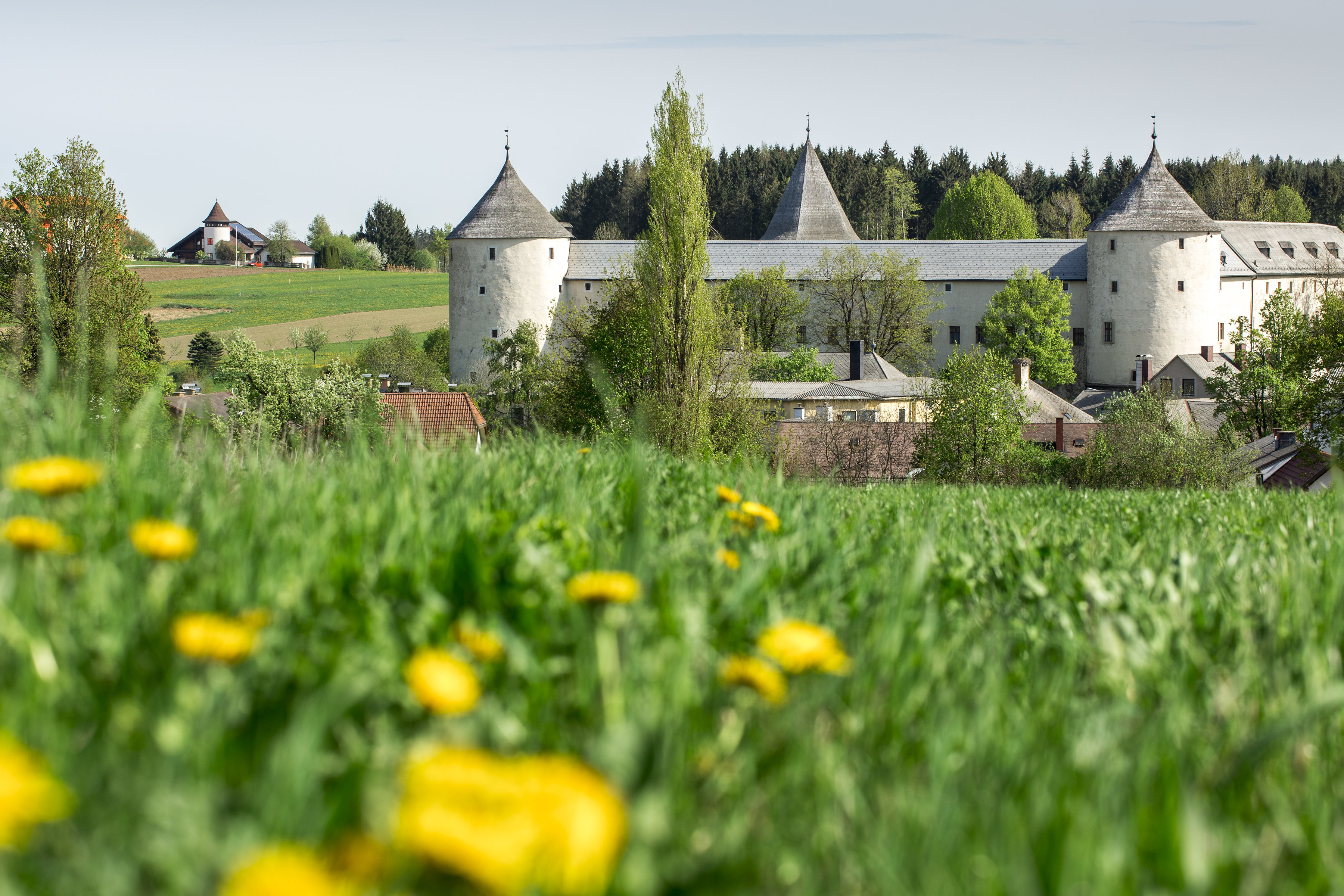 Wohnmobilstellplatz: Wenige Gehminuten entfernt findet man auch das Schloss Ottenschlag mit seinen 3 historischen Türmen. Im Keller des Schlosses lädt der Heurige der Fam. Wimmer mit warmen und kalten Speisen zum Genießen ein. - Freizeitgelände Oberer Ortsteich - Freizeit, Umgebung