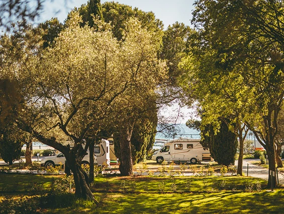 RV Campsite