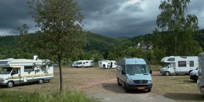 Parkeerplaats voor camper - Hunde erlaubt: Hunde erlaubt - Haunetal - Wohnmobilpark Am Wittich