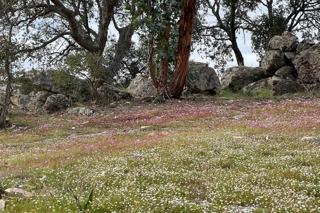 Wohnmobilstellplatz: Campscape Beira Marvao Alentejo