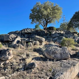 Wohnmobilstellplatz: Campscape Beira Marvao Alentejo