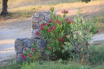 Wohnmobilstellplatz: Campscape Beira Marvao Alentejo