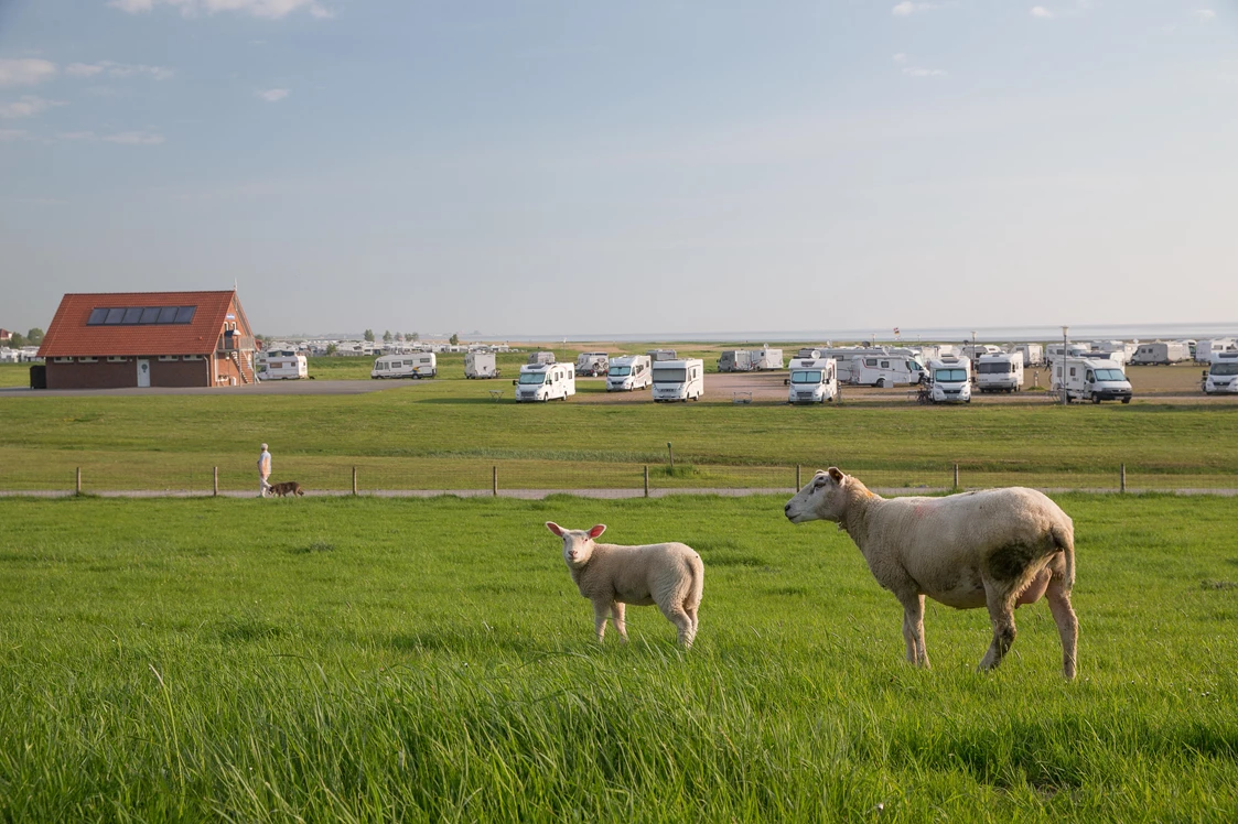 Wohnmobilstellplatz: Wohnmobilhafen an der Ostdüne