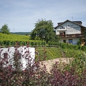 Wohnmobilstellplatz: Der Stellplatz liegt direkt neben unserem Weingut - Weingut & Gästehaus Schäfer-Dienhart