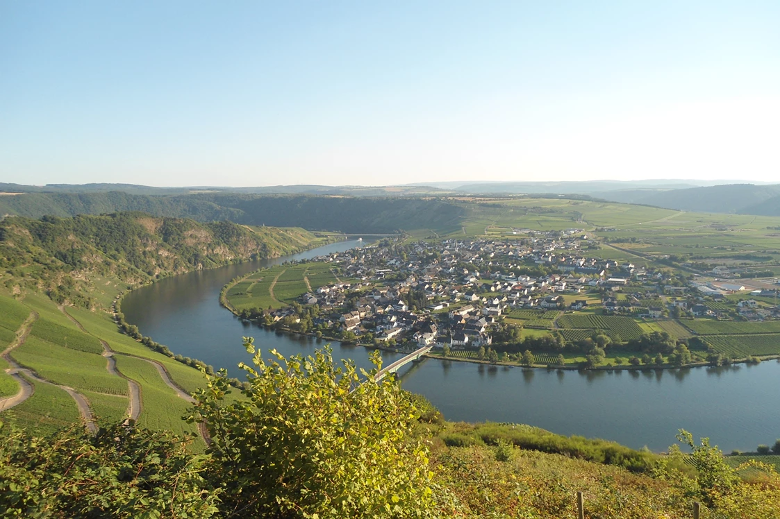 Wohnmobilstellplatz: Ausblick auf Piesport  - Weingut & Gästehaus Schäfer-Dienhart