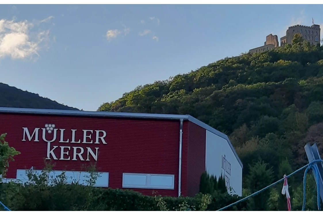 Wohnmobilstellplatz: Blick vom Stellplatz - Weingut Müller-Kern