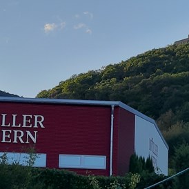 Wohnmobilstellplatz: Blick vom Stellplatz - Weingut Müller-Kern