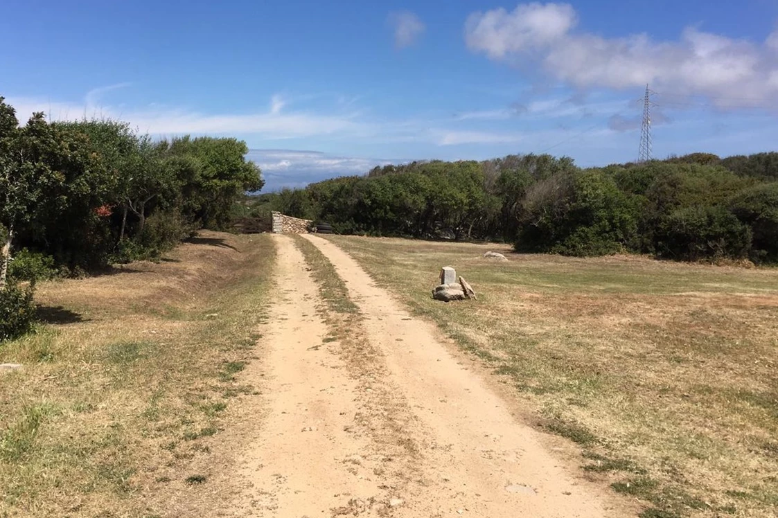 Wohnmobilstellplatz: Viel Platz für Stellplätze - Agricamping - Agriturismo Petra di Cossu