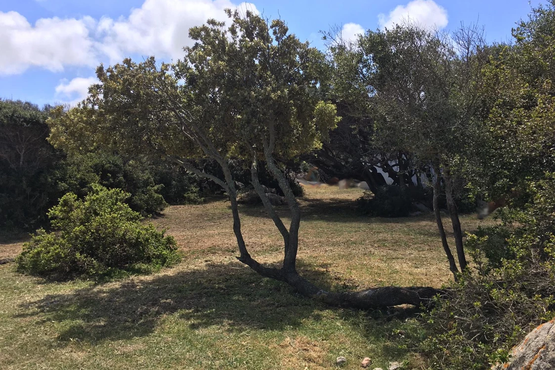 Wohnmobilstellplatz: Viel Platz für Stellplätze - Agricamping - Agriturismo Petra di Cossu