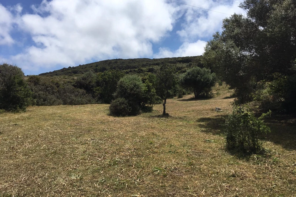 Wohnmobilstellplatz: Viel Platz für Stellplätze - Agricamping - Agriturismo Petra di Cossu