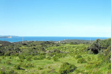 Wohnmobilstellplatz: Panorama-Ausblick
 - Agricamping - Agriturismo Petra di Cossu