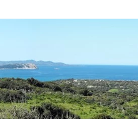 Wohnmobilstellplatz: Panorama-Ausblick - Agricamping - Agriturismo Petra di Cossu