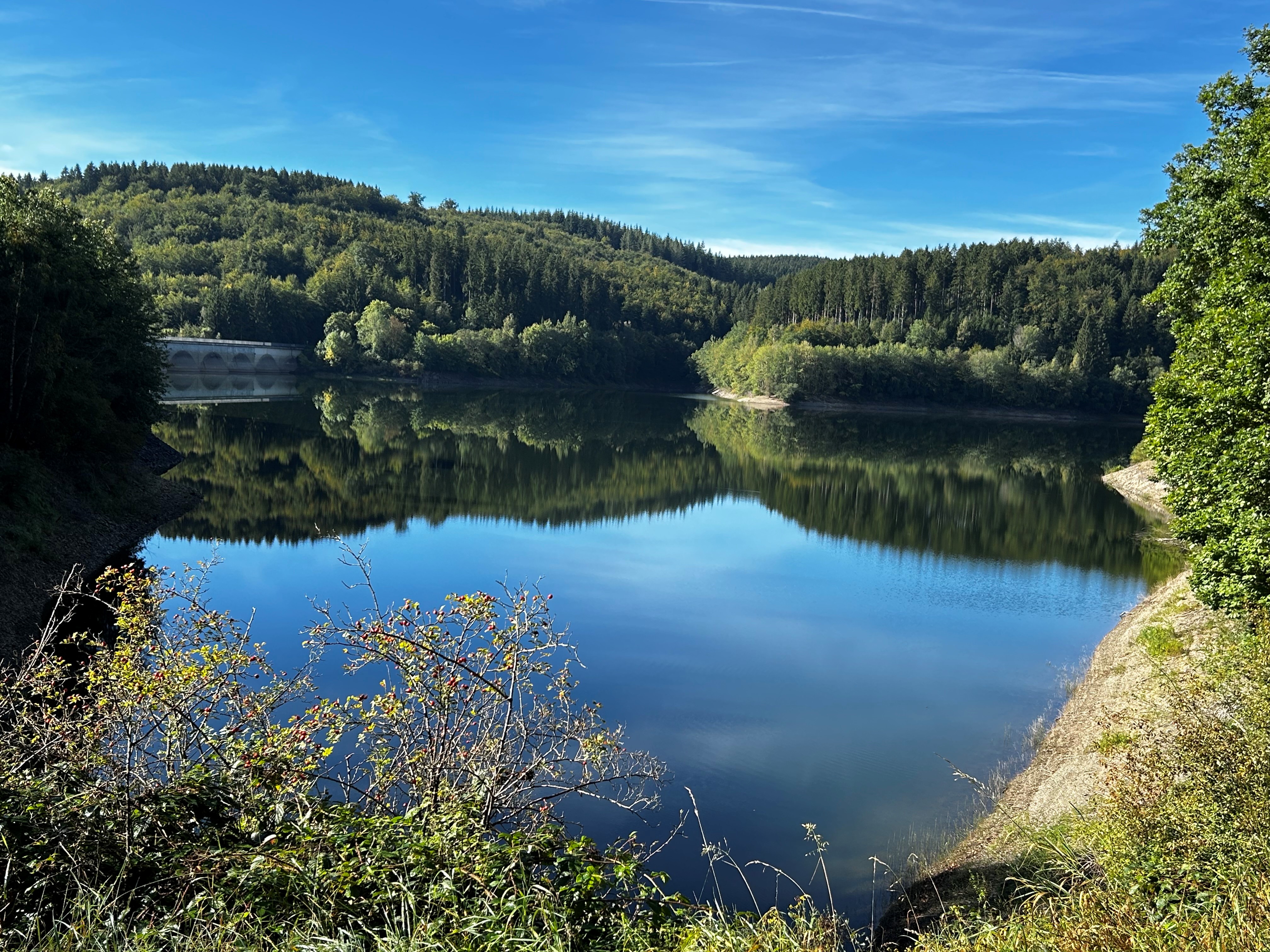 Wohnmobilstellplatz: Wohnmobilstellplatz an der Oleftalsperre