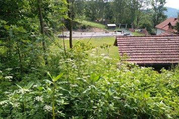 Wohnmobilstellplatz: Spiel- und Liegewiese, dahinter die Cocart-Bahn - Natur-Stellplatz auf Bio-Bauernhof + Kinderparadies
