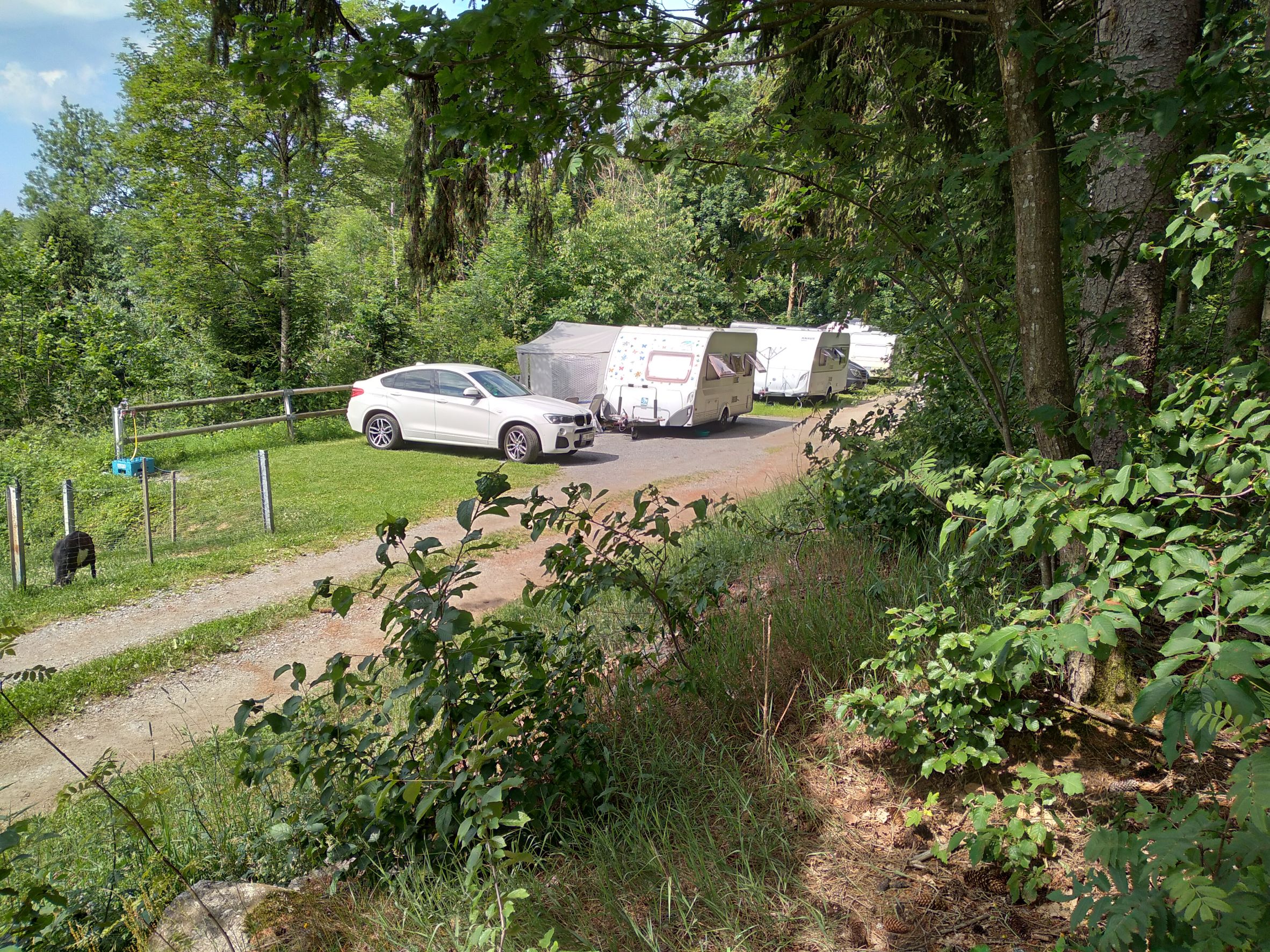 Reisemobilstellplatz - Thurmansbang - Natur-Stellplatz auf Bio-Bauernhof + Kinderparadies