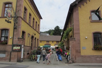 Wohnmobilstellplatz: Hambacher Schloss-Kellerei