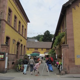 Wohnmobilstellplatz: Hambacher Schloss-Kellerei