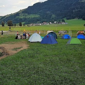 Wohnmobilstellplatz: Camping am Eggerhof - Eggerhof Saalfelden