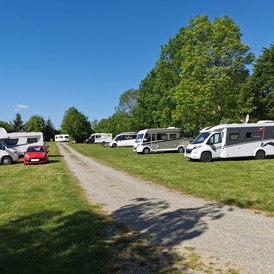 Wohnmobilstellplatz: Campingpark Schellental
