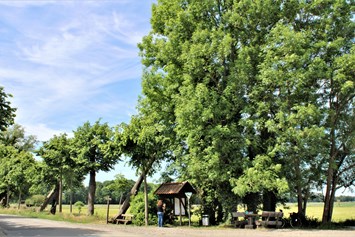 Wohnmobilstellplatz: Umgebung - Wohnmobilstellplatz und Tiny Ferein- und Ausstellungspark am Alfsee