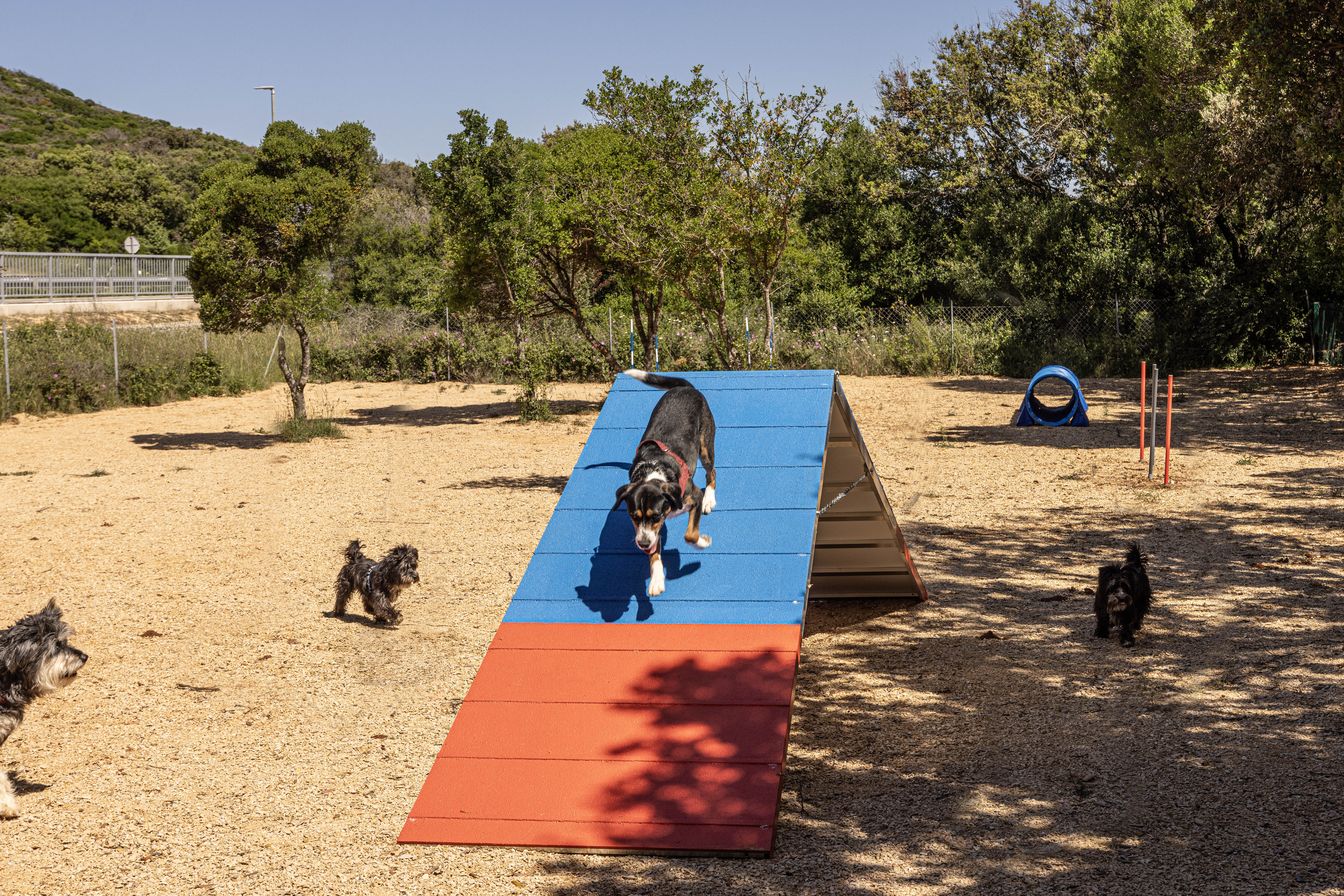 Wohnmobilstellplatz: Dog run area - Lopari Camping Resort**** - Freizeit