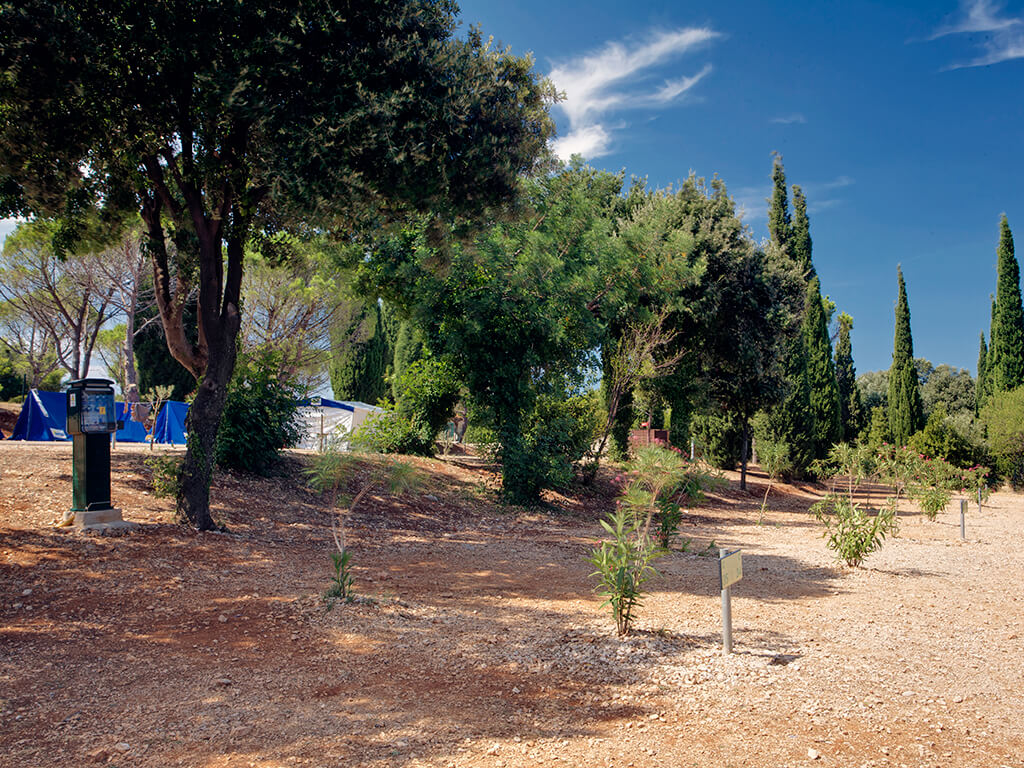 área camper - Split - Dubrovnik - Solitudo Sunny Camping ***