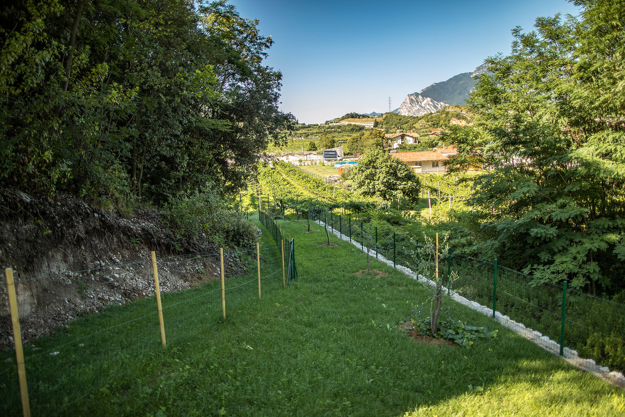 Wohnmobilstellplatz: Camping Grumèl