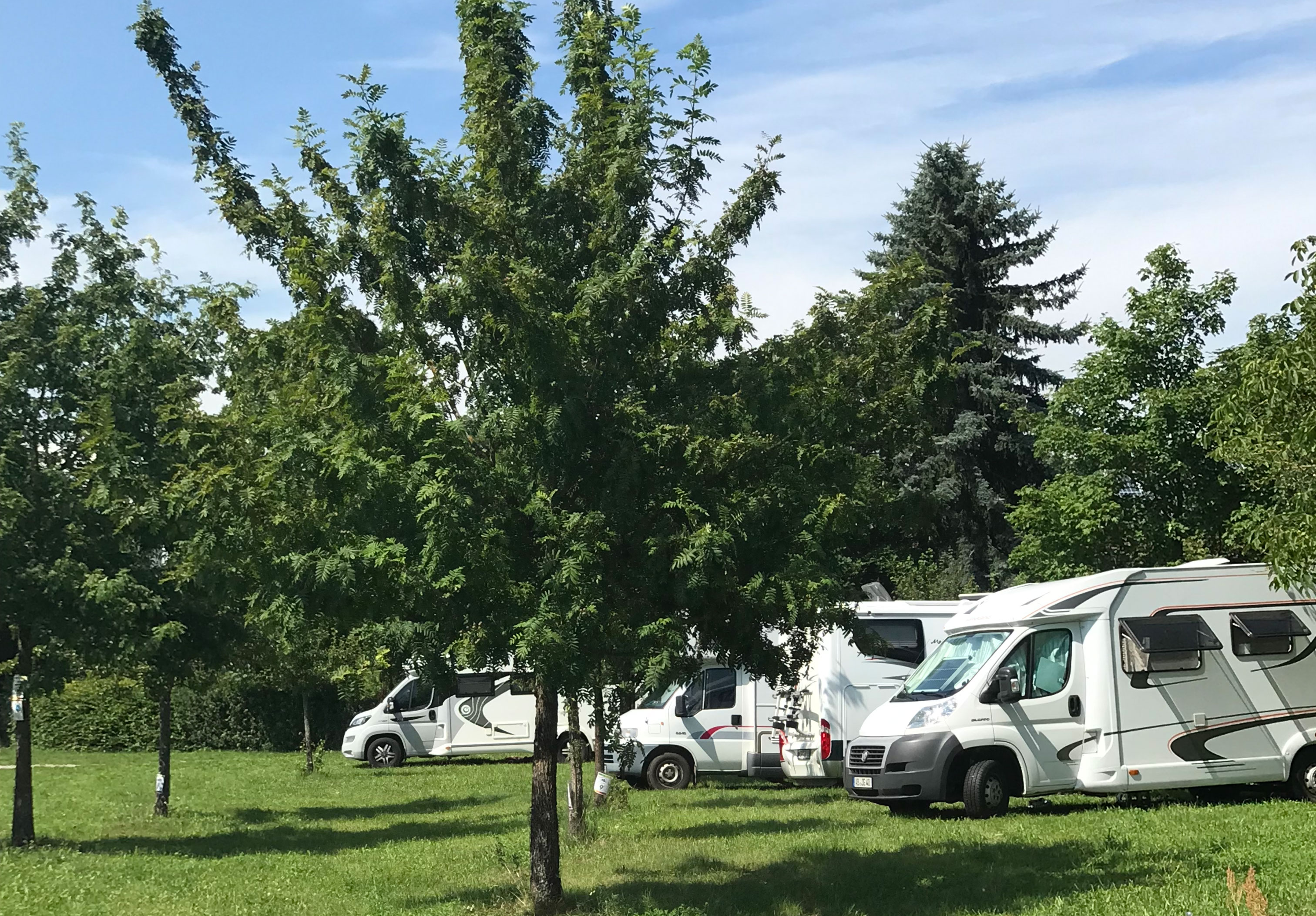 Reisemobilstellplatz - Art des Stellplatz: bei Weingut - Sommerhausen - Sie stehen bei uns im Grünen, auf einer unbefestigten Wiese mit Obstbäumen.
Das Weingut und die Vinothek ist 50 m entfernt. - Weingut Leo Langer