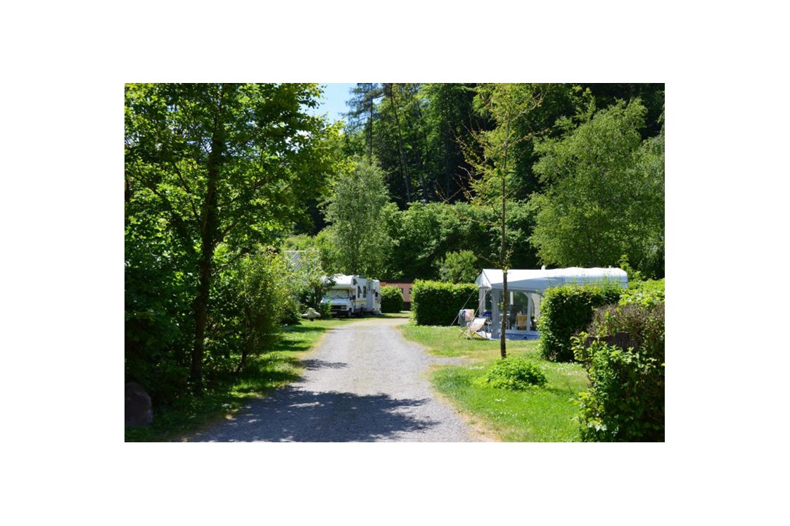 Wohnmobilstellplatz: Camping Waldfrieden
