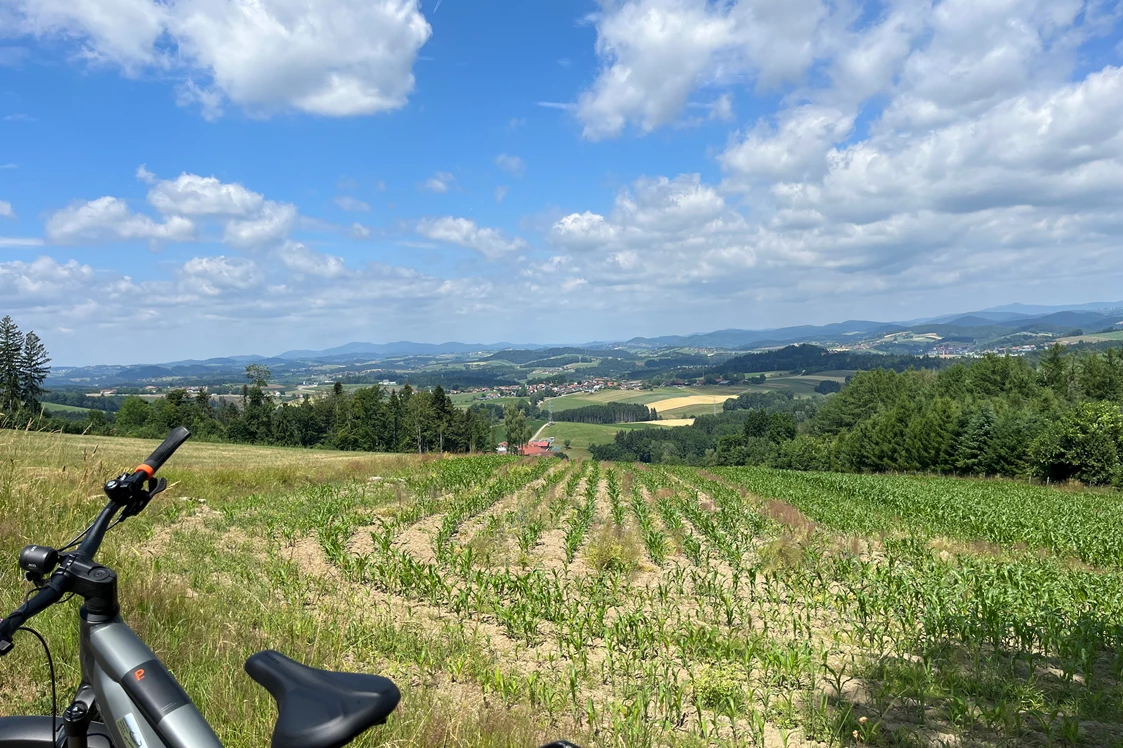 Wohnmobilstellplatz: Natur pur Bayerwald