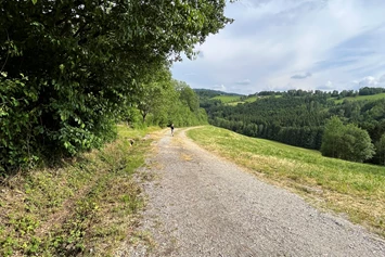 Wohnmobilstellplatz: Natur pur Bayerwald