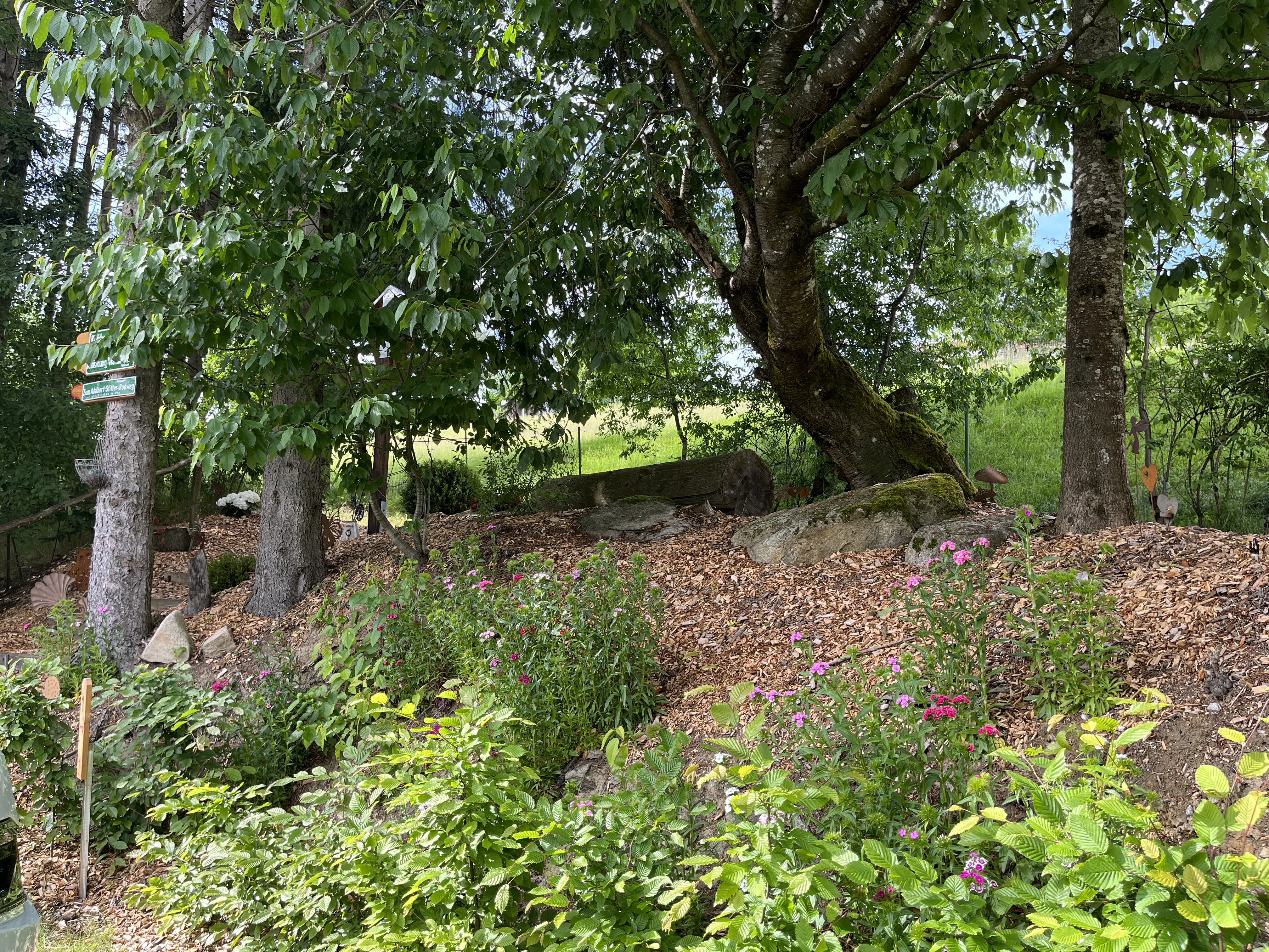 Wohnmobilstellplatz: Natur pur Bayerwald