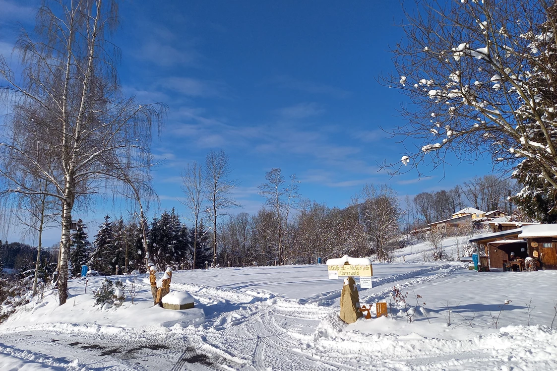 Wohnmobilstellplatz: Stellplatz  - Natur pur Bayerwald