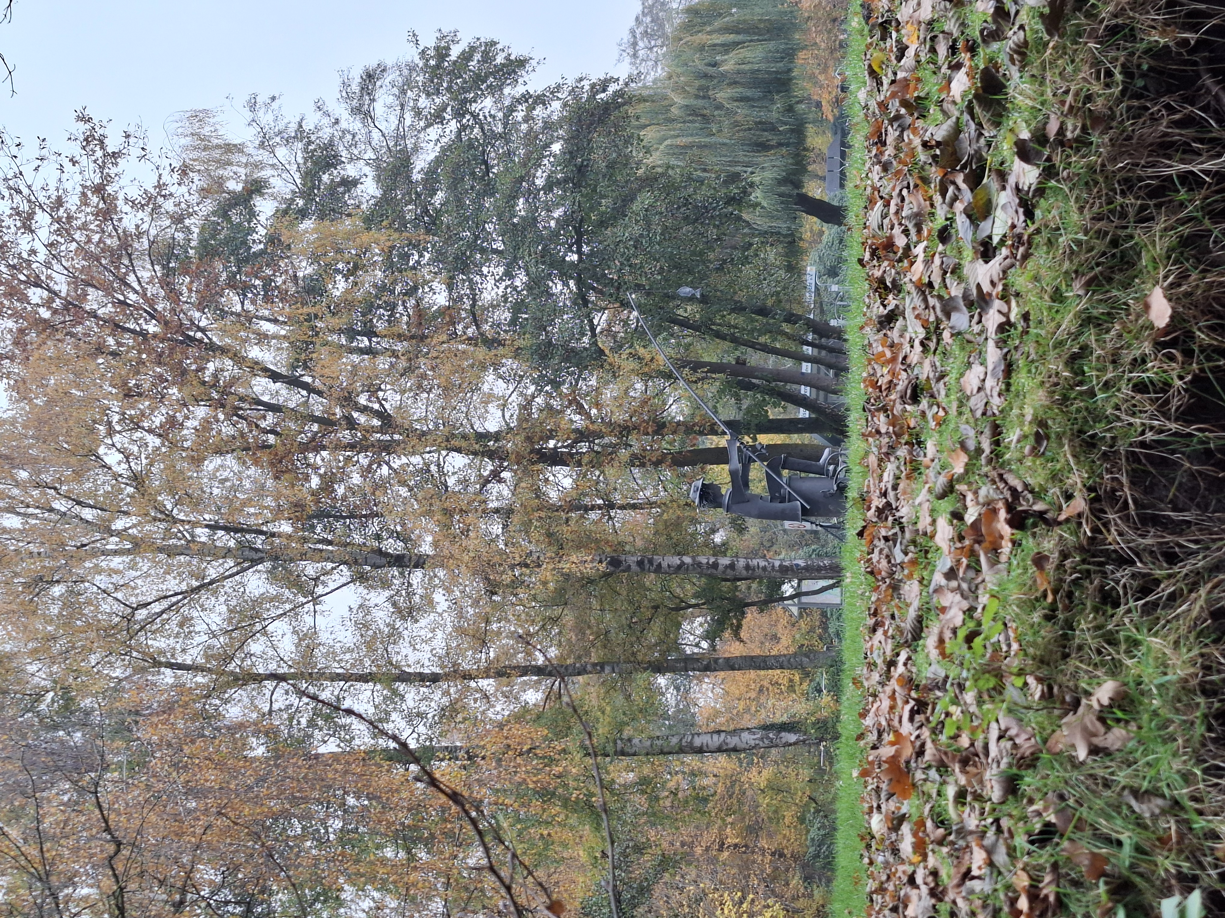 Wohnmobilstellplatz: Soesteheim Wohnmobilstellplatz Friesoythe