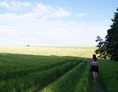 Wohnmobilstellplatz: Eine weitläufige Landschaft, fernab von Touristenhochburgen, lädt zu Spaziergängen ein. - Naturhof Vogtland