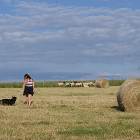 Wohnmobilstellplatz: Spaziergänge in die nähere Umgebung bieten sich an. Gut erzogenen Hunde sind bei uns willkommen. - Naturhof Vogtland