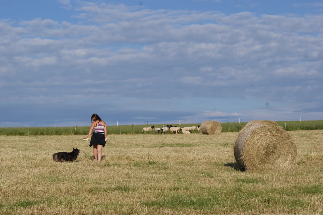 Wohnmobilstellplatz: Spaziergänge in die nähere Umgebung bieten sich an. Gut erzogenen Hunde sind bei uns willkommen. - Naturhof Vogtland