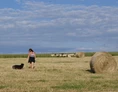 Wohnmobilstellplatz: Spaziergänge in die nähere Umgebung bieten sich an. Gut erzogenen Hunde sind bei uns willkommen. - Naturhof Vogtland