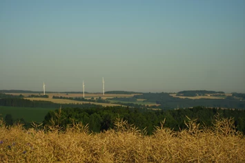 Wohnmobilstellplatz: Ein kleiner Spaziergang vom Stellplatz aus und schon genießen Sie Weitsicht in fast alle Richtungen. - Naturhof Vogtland