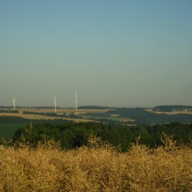 Wohnmobilstellplatz: Ein kleiner Spaziergang vom Stellplatz aus und schon genießen Sie Weitsicht in fast alle Richtungen. - Naturhof Vogtland