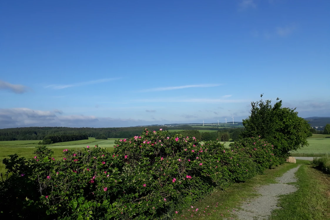 Wohnmobilstellplatz: Vom Aussichtspunkt "Pilz" aus, der 471 Meter über dem Meerespiegel liegt, ist bei schönem Wetter ein Blick über das Göltzschtal mit seinen zwei Bogenbrücken, der Göltzschtalbrücke (größte Ziegelsteinbrücke der Welt) und der Weißensander Brücke bis ins Thüringer Land möglich. - Naturhof Vogtland