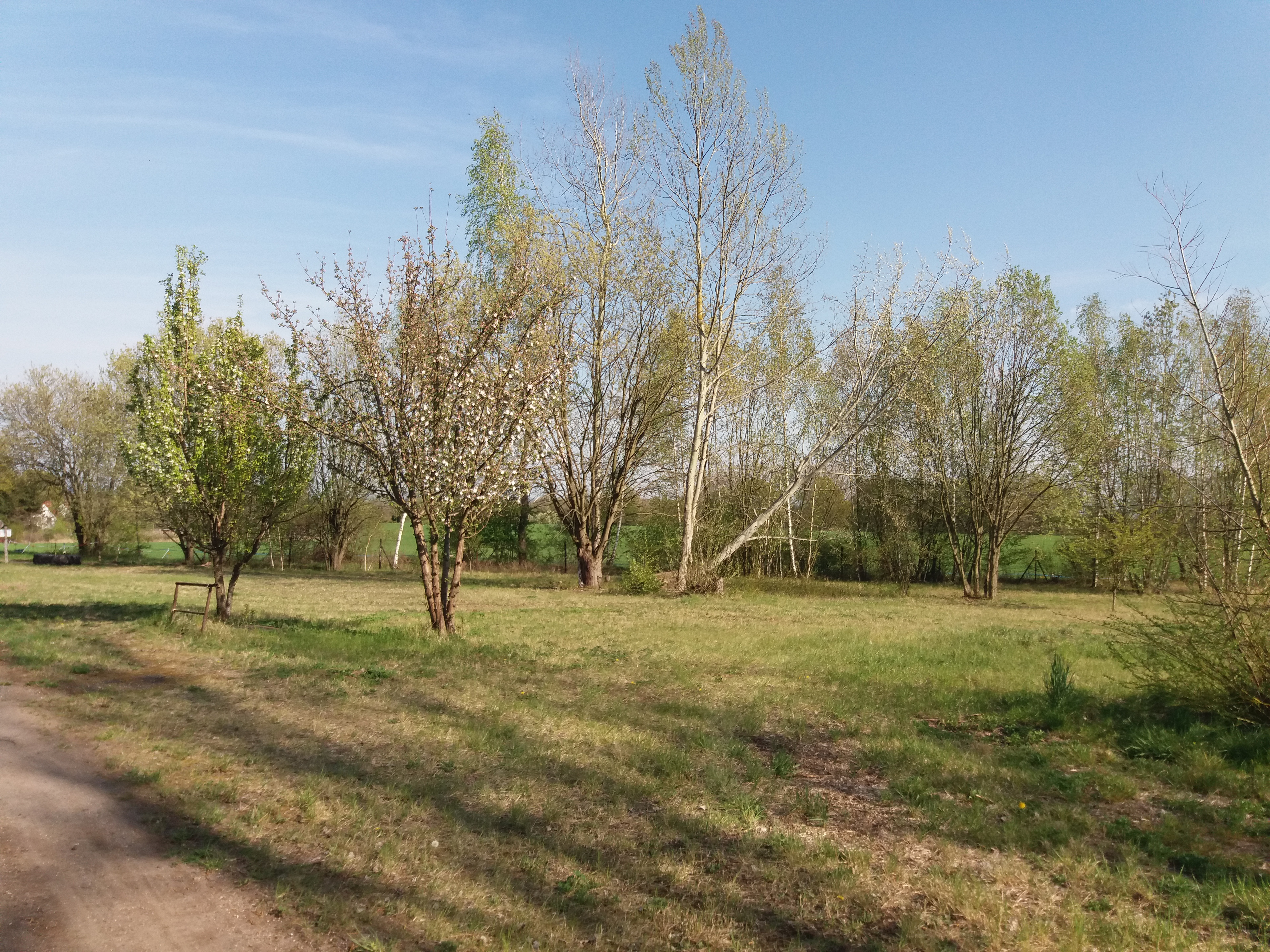 Reisemobilstellplatz - Bademöglichkeit für Hunde - Sachsen - Stellplatz - Stellplatz Am Kalkwerkssee Görlitz