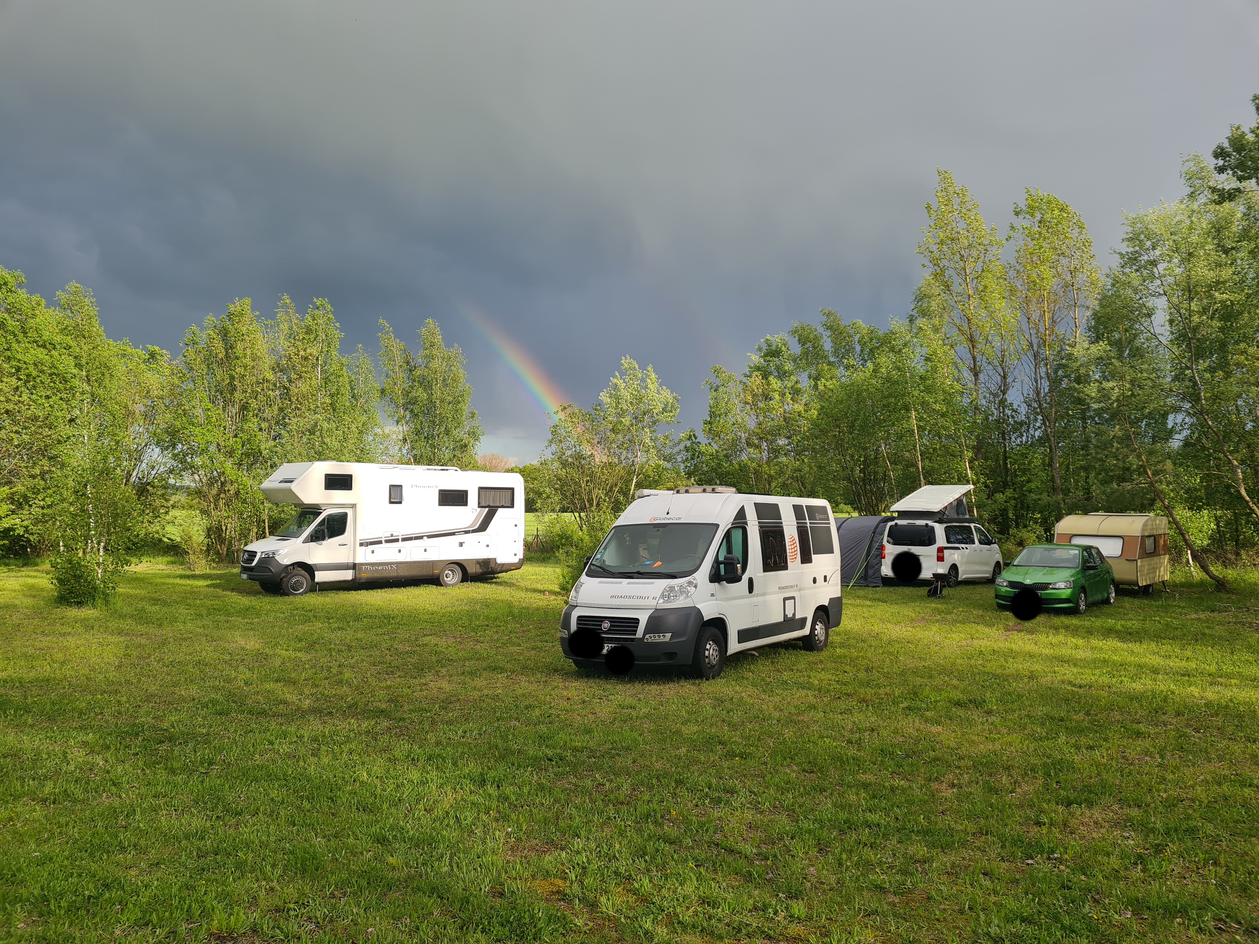 Reisemobilstellplatz - Bademöglichkeit für Hunde - Sachsen - Ein Teil der Stellflächen - Stellplatz Am Kalkwerkssee Görlitz