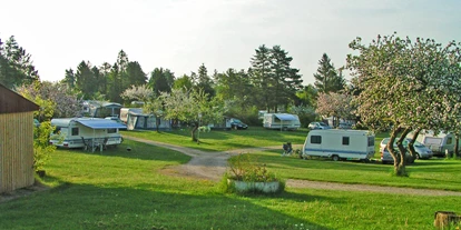 Parkeerplaats voor camper - WLAN: teilweise vorhanden - Denemarken - Skanderborg See Camping
