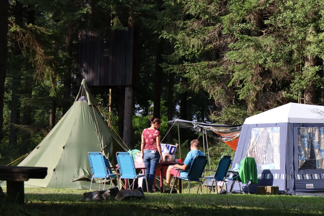 Wohnmobilstellplatz: Camping Hebalm