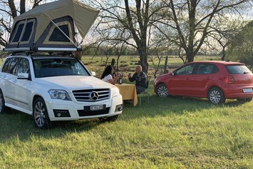 Wohnmobilstellplatz: idyllisch (hier im April, im Sommer auch viele Schattenplätze),  - Timisoara (Chveresu Mare)